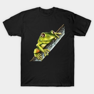 Green tree frog on a branch with big eyes T-Shirt